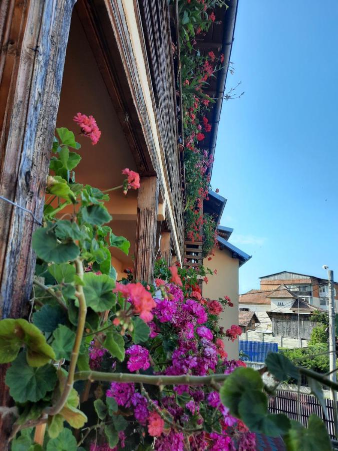 Pensiunea Cristiana Curtea de Argeş Exterior foto