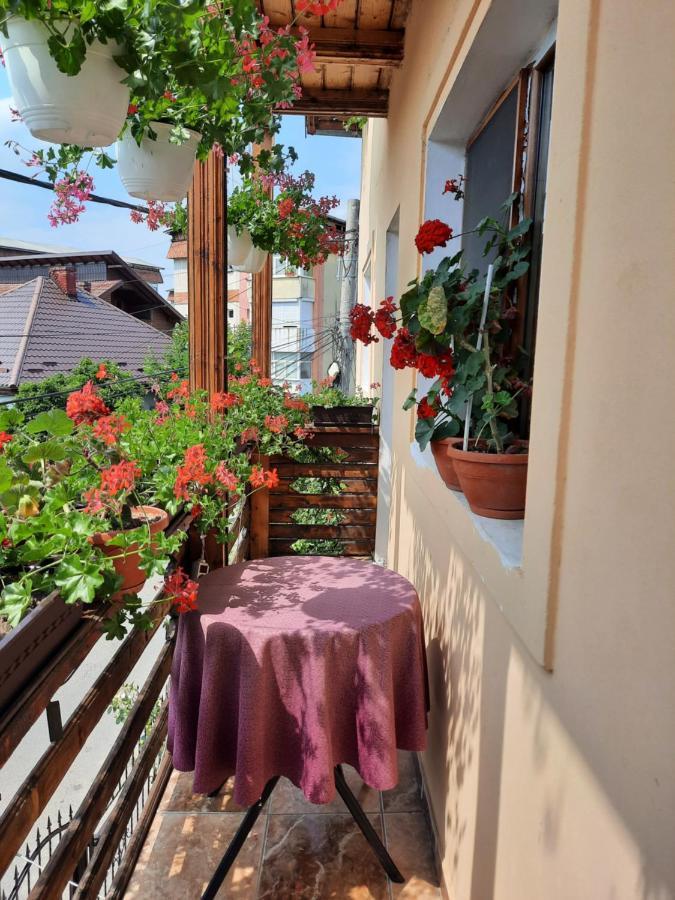 Pensiunea Cristiana Curtea de Argeş Exterior foto