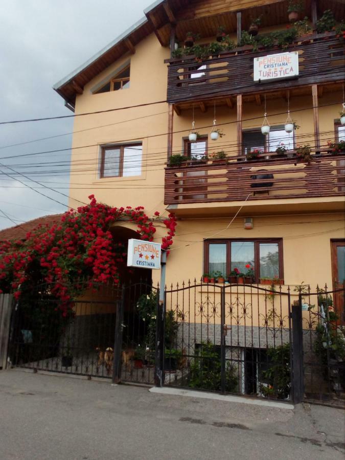 Pensiunea Cristiana Curtea de Argeş Exterior foto