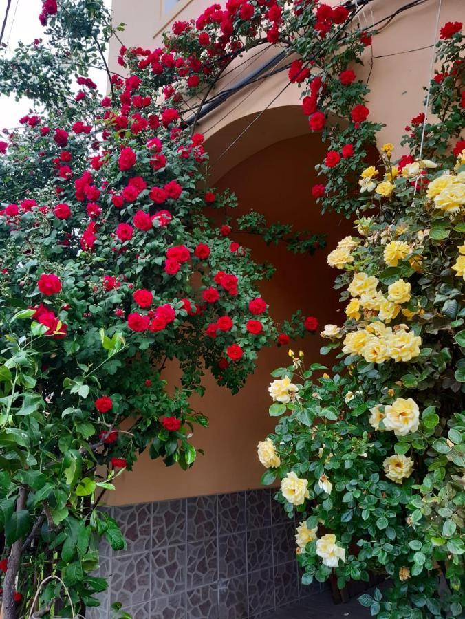 Pensiunea Cristiana Curtea de Argeş Exterior foto
