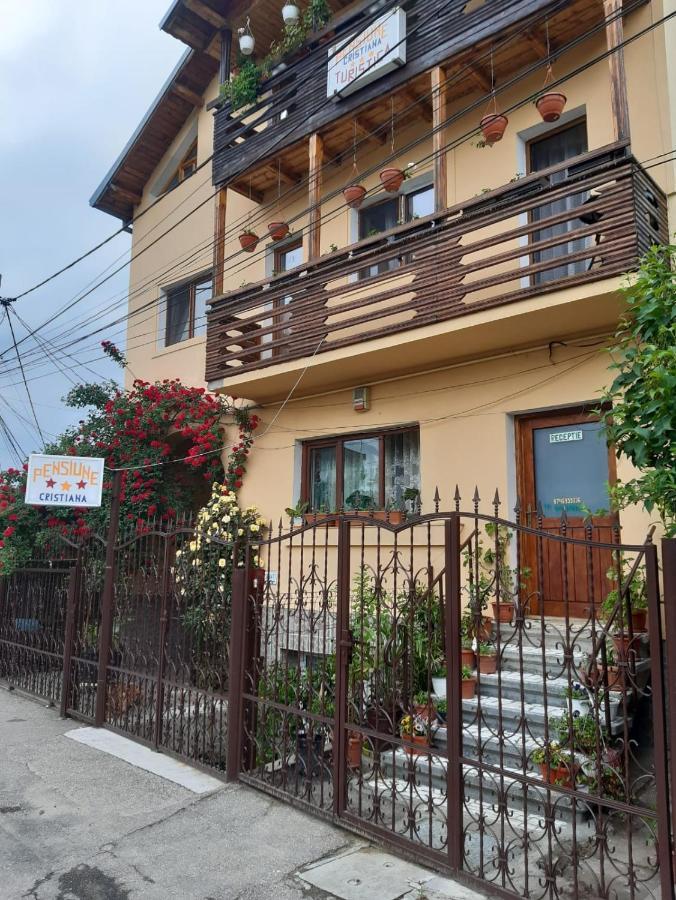 Pensiunea Cristiana Curtea de Argeş Exterior foto