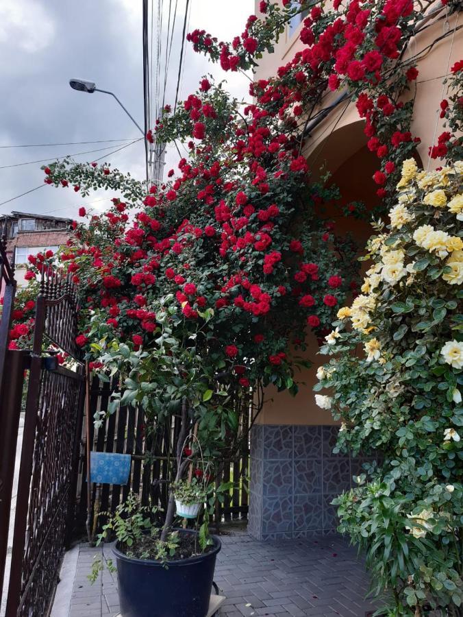 Pensiunea Cristiana Curtea de Argeş Exterior foto