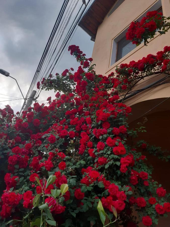 Pensiunea Cristiana Curtea de Argeş Exterior foto